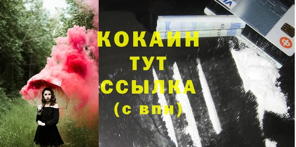 прущие грибы Белоозёрский