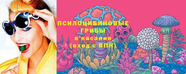 PSILOCYBIN Снежногорск