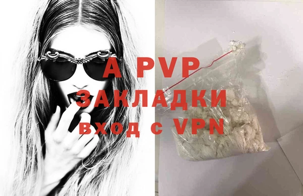 гашик Беломорск