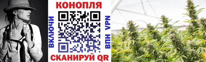 купить наркоту  Жуковка  darknet официальный сайт  Бошки марихуана LSD WEED 
